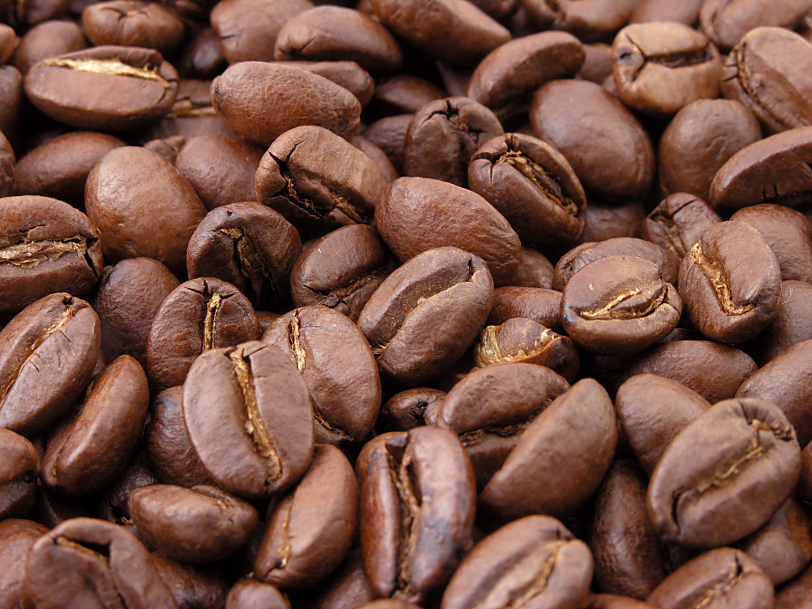 Roasted arabica coffee beans, different botanical varieties