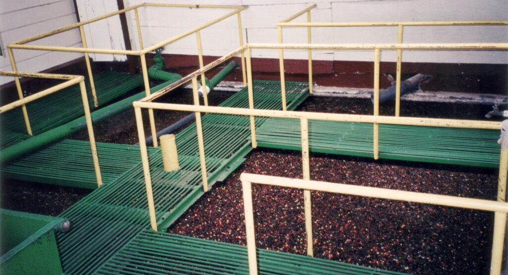 Washing vats where coffee is separated after pulping, as on many Honduras coffee farms