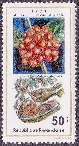 Vintage 1975 Rwanda stamp showing coffee plant and harvest, symbol of Rwanda coffee farming