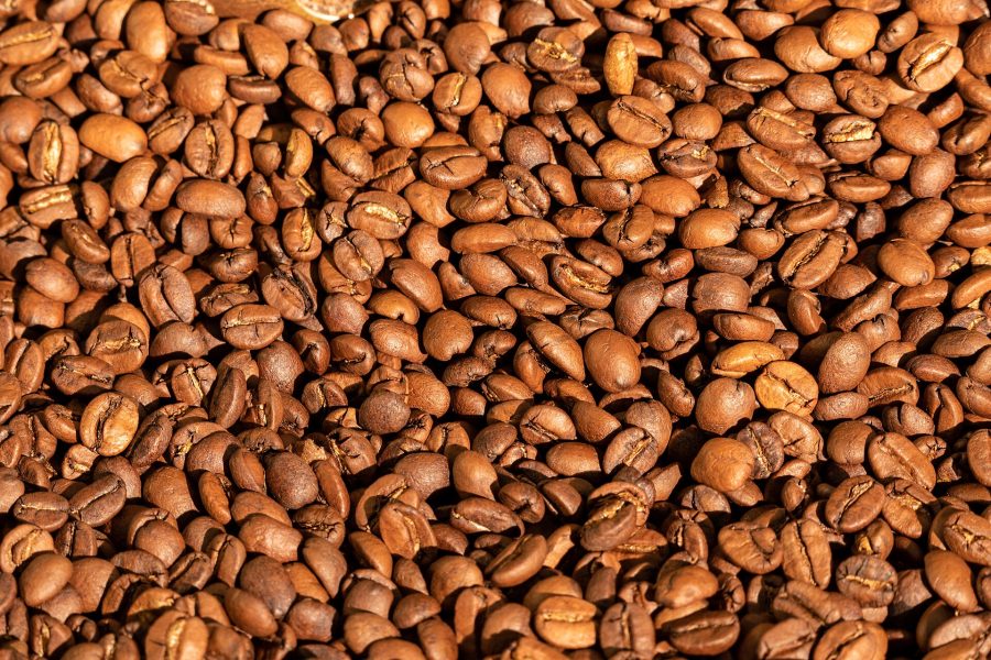 Shiny roasted coffee beans in a small roastery, a common sight with oily coffee beans