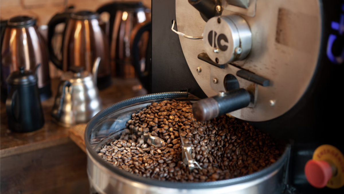Independent roaster checking the coffee roast inside the drum